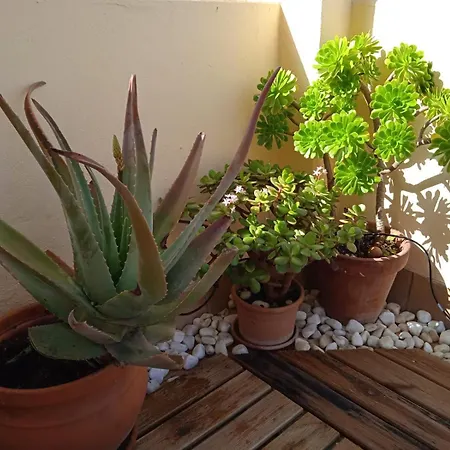 Apartment Livingtarifa Nano *